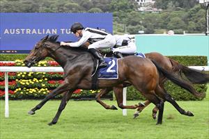 Miss Icelandic, Randwick 26 April 2025